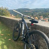 bici trek (bikelife) !€ leggere descrizione €!