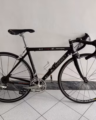 Wilier da corsa