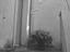 Immagine 9