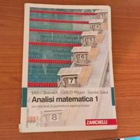 Analisi Matematica 1 Bramanti, Pagani, Salsa
