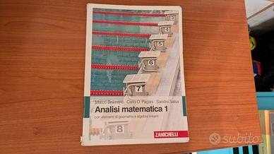 Analisi Matematica 1 Bramanti, Pagani, Salsa