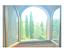 Immagine 8
