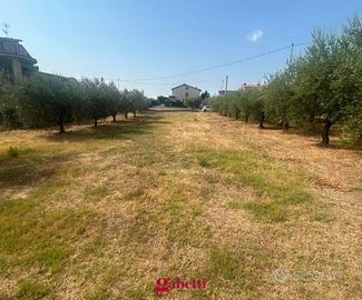 Terreno Residenziale Cupello [Cod. rif 3331855VRG]