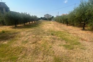 Terreno Residenziale Cupello [Cod. rif 3331855VRG]
