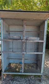 Voliera per volatili 