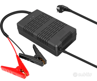 caricabatterie lifepo4 litio 12v camper 30A 220v