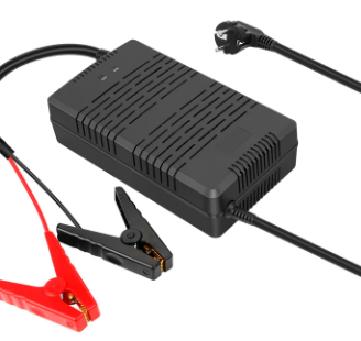 caricabatterie lifepo4 litio 12v camper 30A 220v