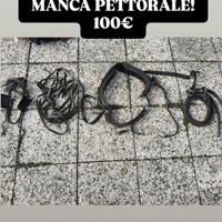 finimenti attacco cavallo 