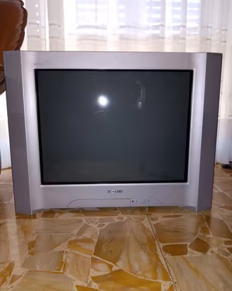 "Sony Trinitron WEGA KV-29SE10E"
 