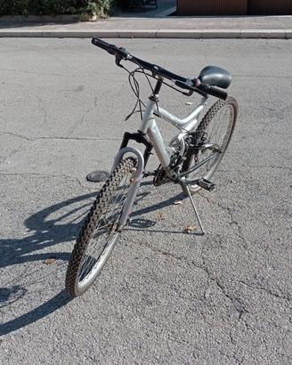 bici da uomo
