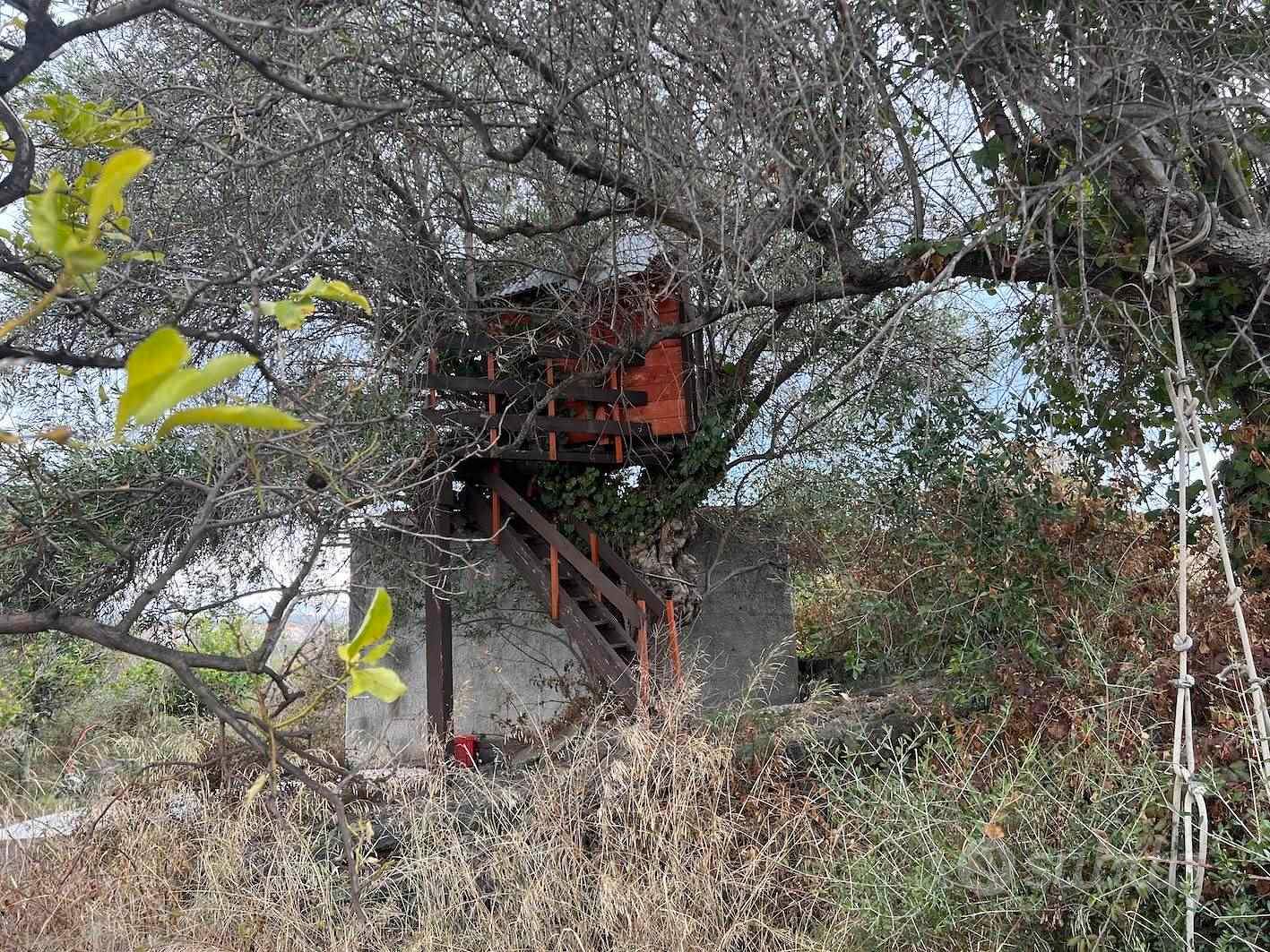 Rif.DR8| terreno agricolo acireale - Altro