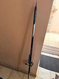 Daiwa amorphous infinity power 7m