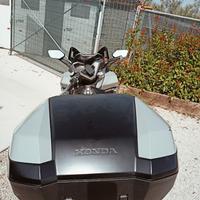 Honda Forza 350 belux - 2022