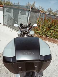 Honda Forza 350 belux - 2022