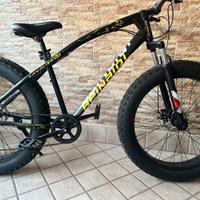 bici BEINAQUI