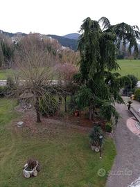 Porzione di villa bifamiliare in Valnerina