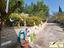 Immagine 11