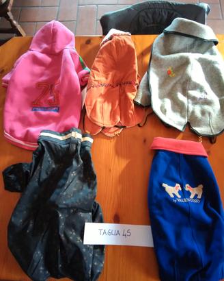 cappottini per cani, nuovi