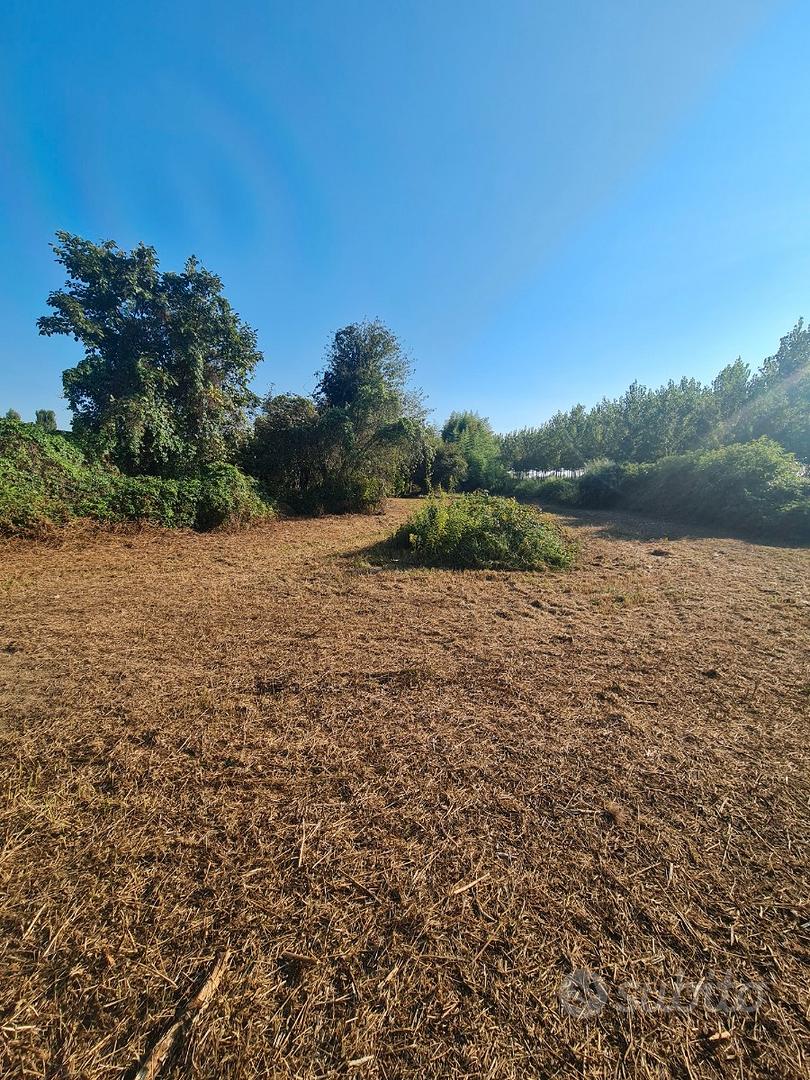 Terreno edificabile non urbanizzato - Vista 3
