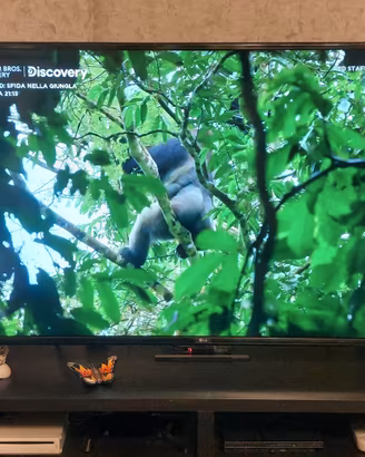 Smart TV LG LED 4K 55 pollici come nuovo