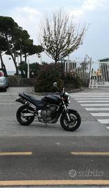 Honda hornet 600 2000