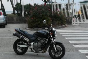 Honda hornet 600 2000