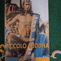 Piccolo Buddha