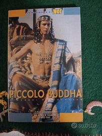 Piccolo Buddha