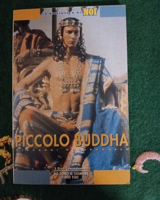 Piccolo Buddha