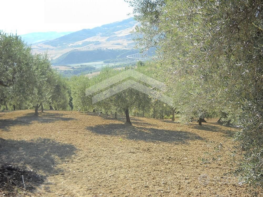 Terreno edificabile - Guardialfiera - Altro