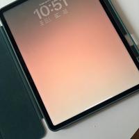 IPad Pro 12.9” 4ª Gen 256GB