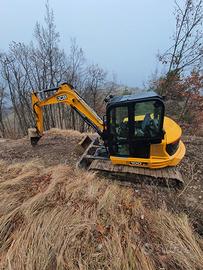 Escavatore jcb 100