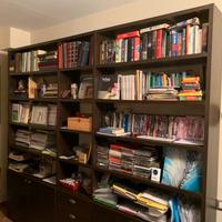 Libreria ufficio o sala