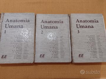 Anatomia Umana Edi-Ermes