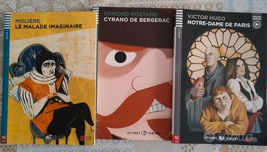 Libri di narrativa francese 