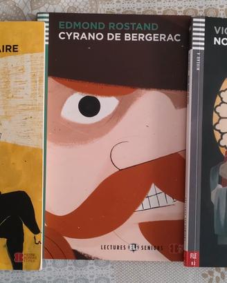 Libri di narrativa francese 