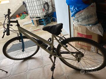 Bicicletta Mountain BIKE