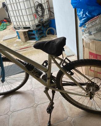 Bicicletta Mountain BIKE