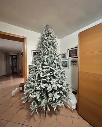 Albero di Natale