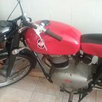 Gilera Altro modello - 1954