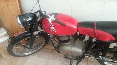 Gilera Altro modello - 1954