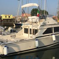 Bertram 28 flybridge