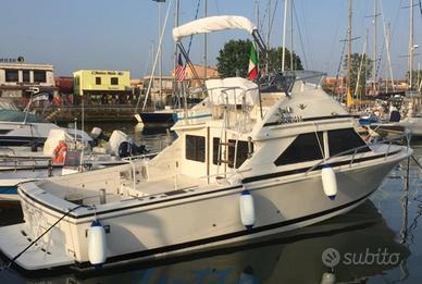 Bertram 28 flybridge