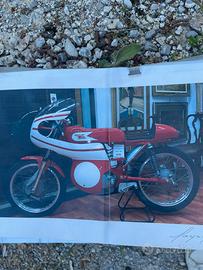 MORINI COMPETIZIONE