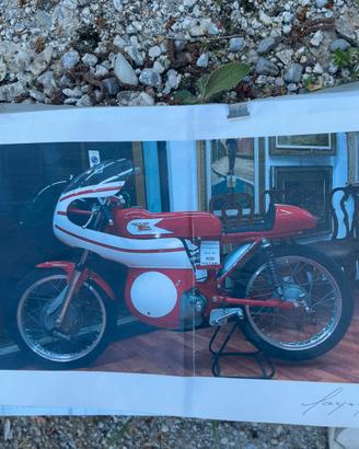 MORINI COMPETIZIONE