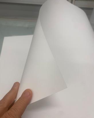 Fogli plastica