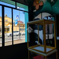 ATTIVITÀ A FORLIMPOPOLI