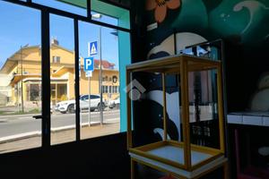 ATTIVITÀ A FORLIMPOPOLI