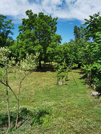 Terreno agricolo zona reviglione Somma Vesuviana