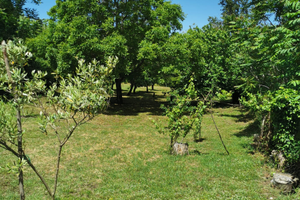 Terreno agricolo zona reviglione Somma Vesuviana